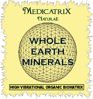 WEMinerals-large