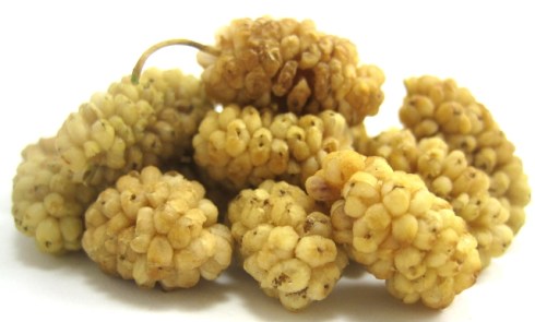 whitemulberries