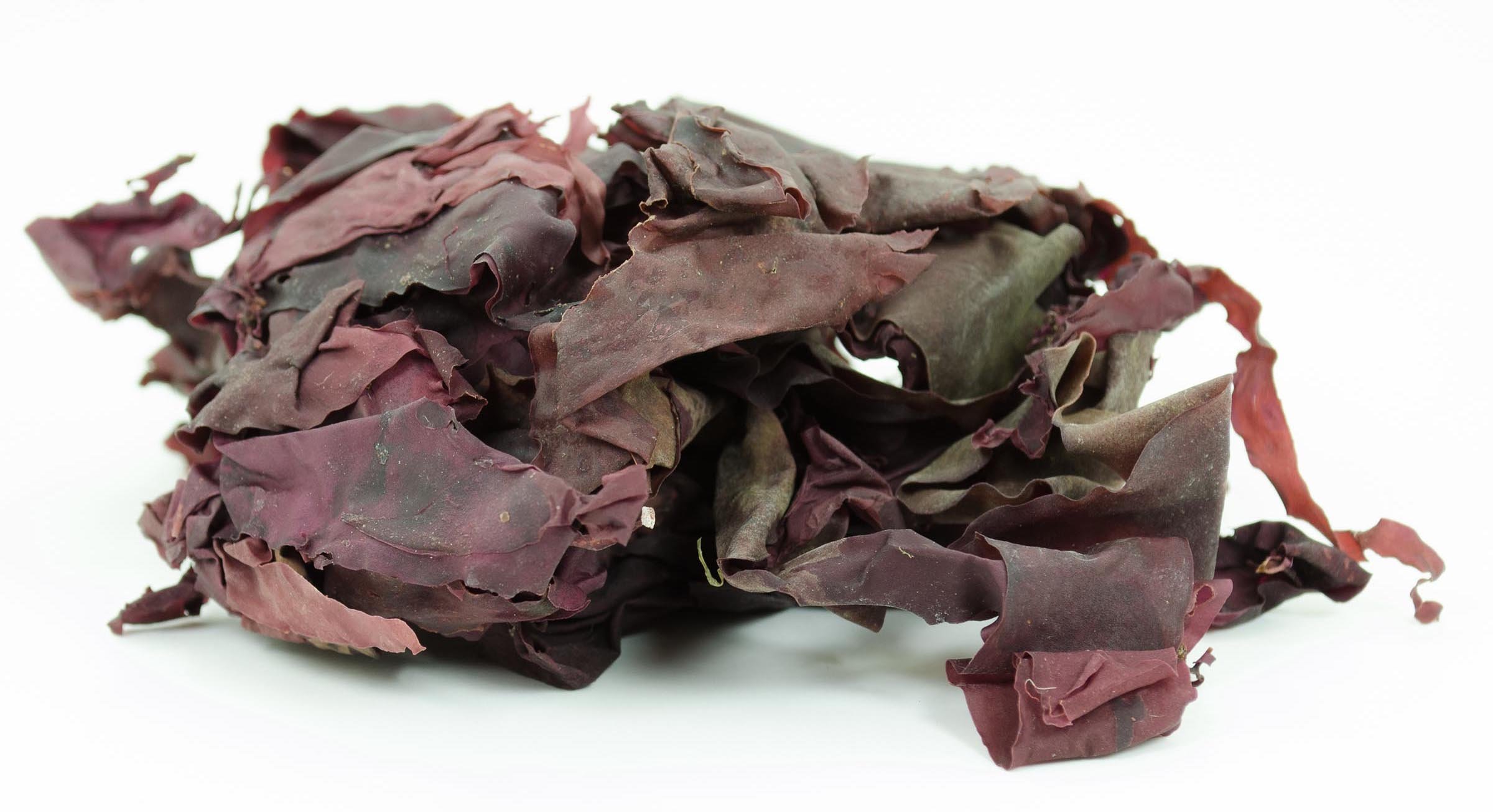 0715_Dulse1